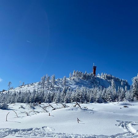 Bergtraum Braunlage Im Harz, 17 Gaeste, Sauna, Pool Villa Esterno foto