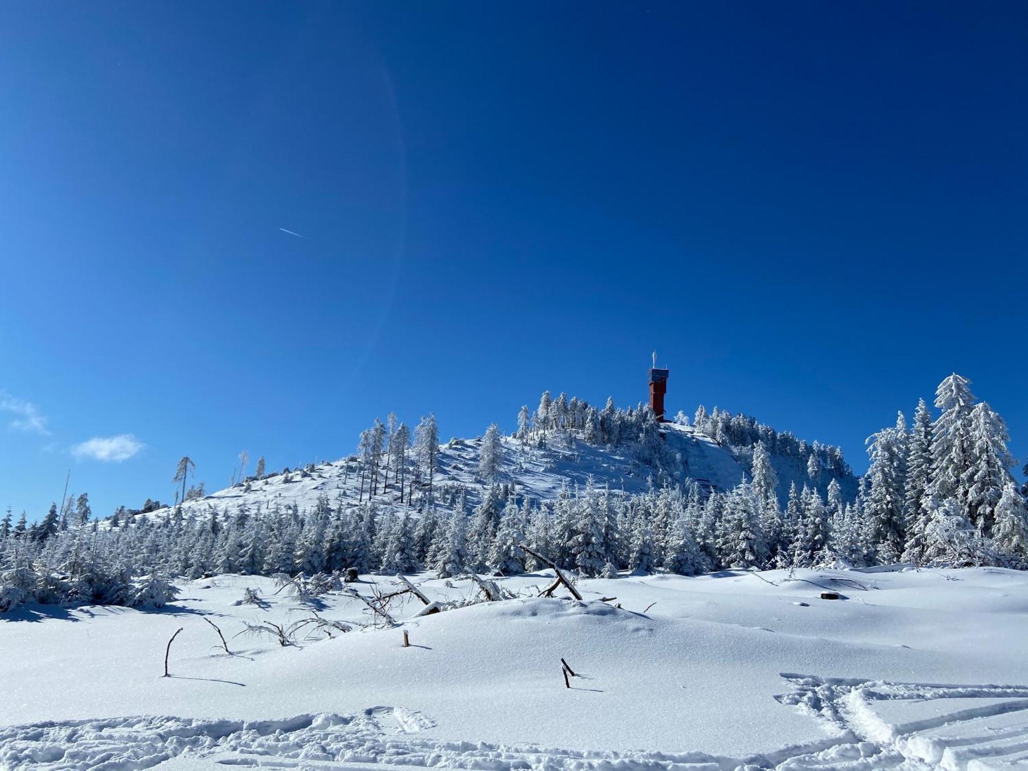 Bergtraum Braunlage Im Harz, 17 Gaeste, Sauna, Pool Villa Esterno foto