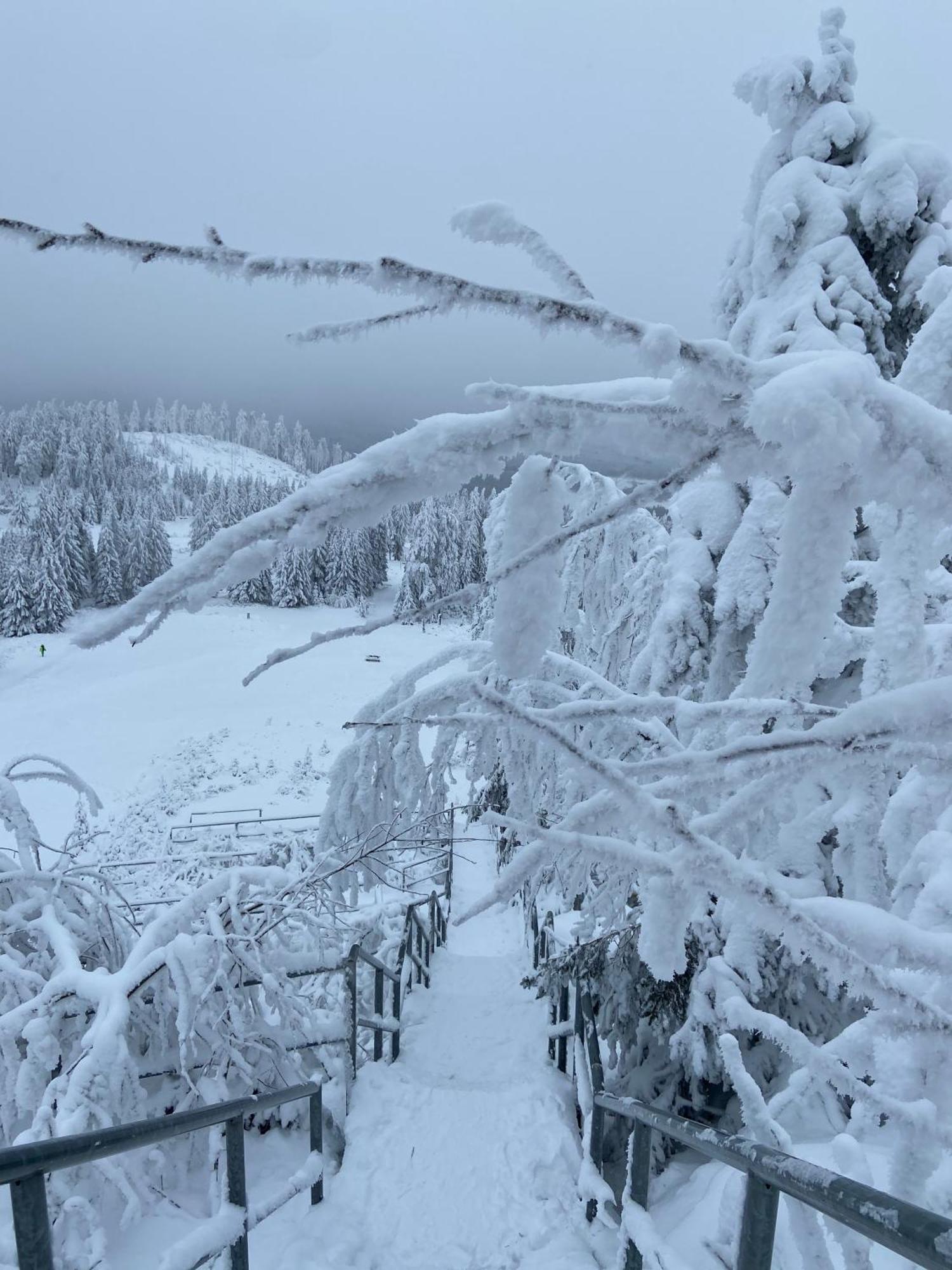 Bergtraum Braunlage Im Harz, 17 Gaeste, Sauna, Pool Villa Esterno foto