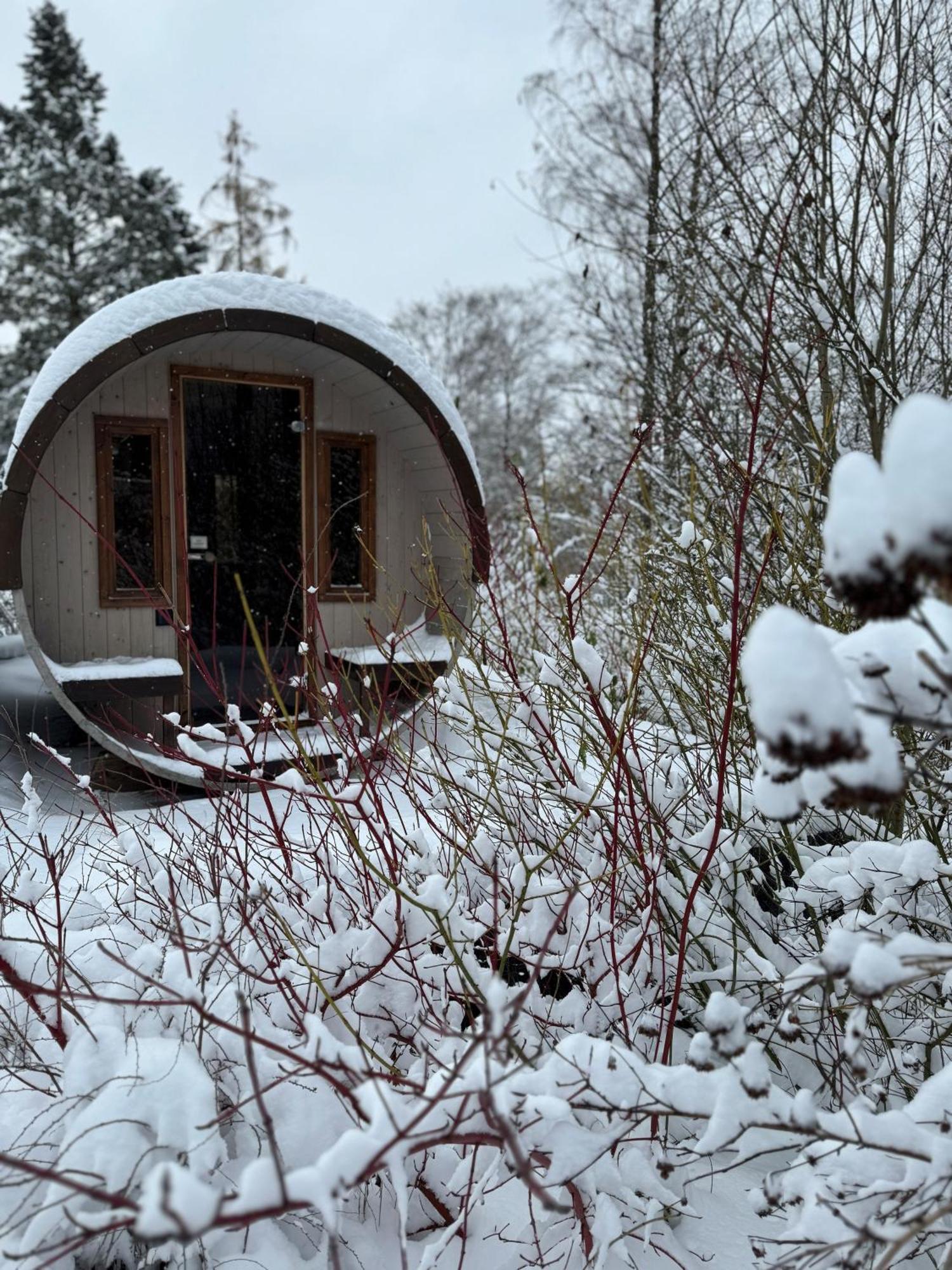 Bergtraum Braunlage Im Harz, 17 Gaeste, Sauna, Pool Villa Esterno foto