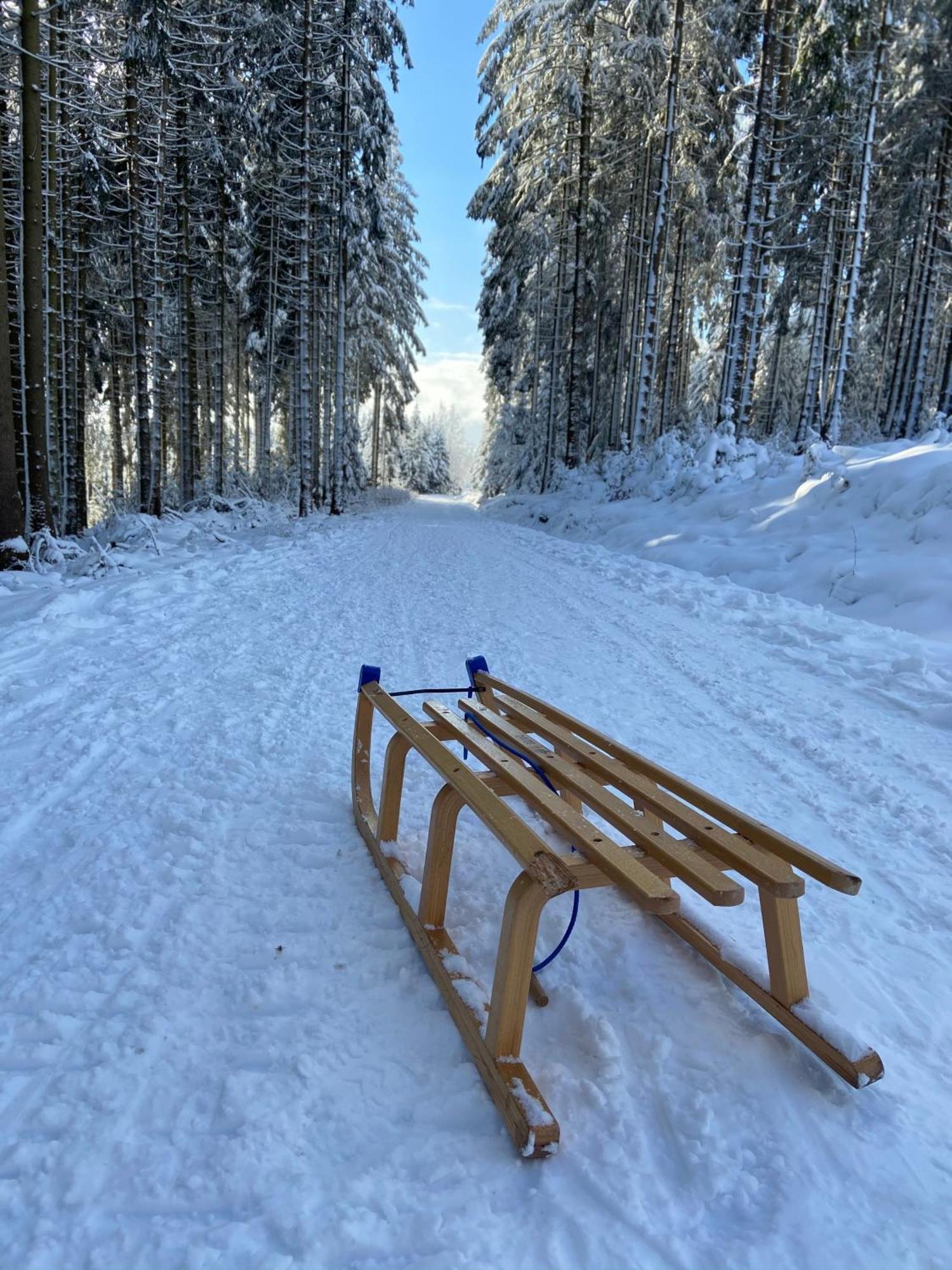 Bergtraum Braunlage Im Harz, 17 Gaeste, Sauna, Pool Villa Esterno foto